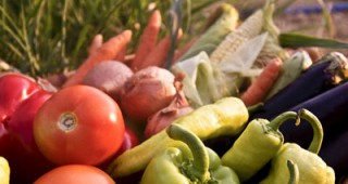 Правителството обмисля да подпомогне родното производство на плодове и зеленчуци