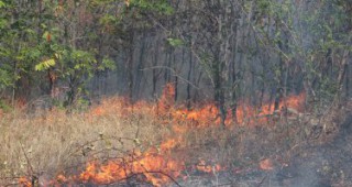 Пожарът край вилната зона на Казанлък е бил локализиран рано тази сутрин