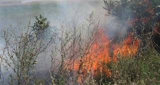 При пожар в землищата на панагюрските села Елшица и Щърково са били засегнати около 450 декара гора