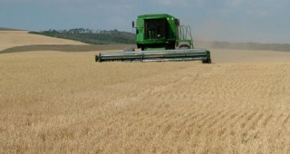 От 1 ноември ще бъдат въведени нови правила за плащане на ДДС при сделките със зърно