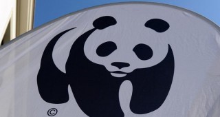 Пандата на WWF разказва за възстановяване на редки видове в 10 природни парка на България