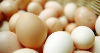 Цената на яйцата се понижи рекордно за година