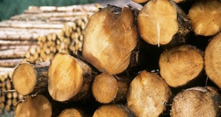 Слабо търсене на дърва за огрев отчитат на борсите в Благоевград