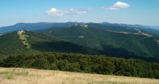 Зелени балкани, WWF България и Асоциация на парковете изпълнявали една и съща поръчка с разлика в цената 45 пъти