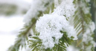 Слаб сняг падна в Пампорово