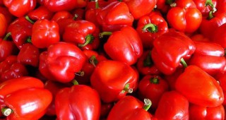 Зеленчуците, внос от Турция, масово са пълни с пестициди