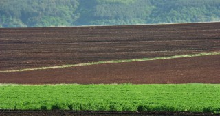 Необходимо е съгласието на ЕС, за да бъде удължен мораториумът върху продажбата на земеделска земя на чужденци