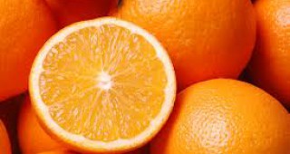 Италиански експерти: Портокалите имат ефект да изгарят мазнините