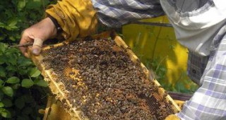 Протест на пчелари от Странджа