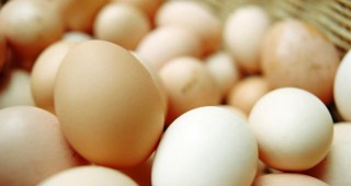 Яйцата от размер М се предлагат на едро на цени от 0,16 лв./бр.