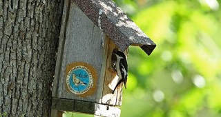 Доброволци на БДЗП направиха 25 къщички за птици
