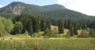 100 години от създаването си отбелязва Държавното горско стопанство в Смолян