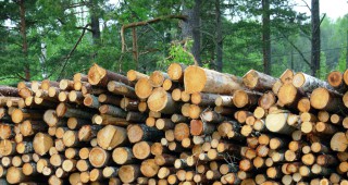 Над 130 хиляди домакинства в страната са задоволени с дърва за огрев през зимата
