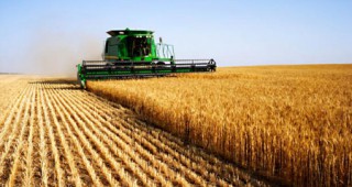 Възможни са протестни действия на зърнопроизводителите