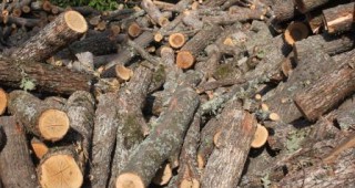 Стартира проект за повишаване професионалната квалификация на държавната горска администрация