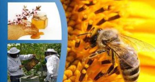 Конференция за състоянието и перспективите за пчеларския сектор в Европа ще се състои у нас