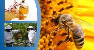 Международна пчеларска конференция - Пчеларският сектор в Европа: състояние и перспективи