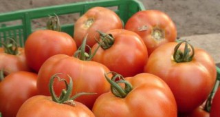 НСИ: Българските потребители са увеличили консумацията на плодове, месо и зеленчуци
