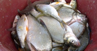 Инспектори на ИАРА Бургас са заловили бракониер при проверка на езеро Вая