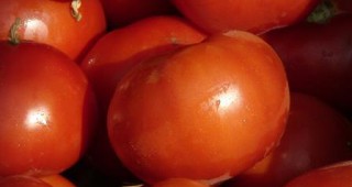 Тайната на дълголетието се крие в обикновения доматен сос