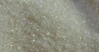 Брюксел има намерение да увеличи износа на захар със 700 000 тона