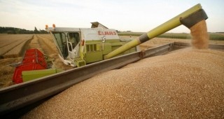 Между 3.6 до 3.8 милиона тона добиви от пшеница прогнозират оценители