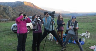 Проведе се деветото преброяване на белоглавите лешояди на Балканския полуостров