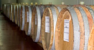 Биовиното и производството на пенливи вина се превръщат в един от приоритетите на винаро-лозарската програма