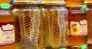 В България за 10 години броят на пчелните семейства и пчеларите е намалял наполовина
