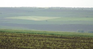 Цената на земеделската земя в Добричка област непрекъснато нараства