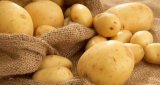 ДФЗ ще разсрочи и кредитите, отпуснати на картофопроизводители за 2011 г.