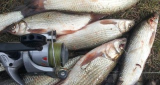 Инспектори на ИАРА - София са проверили 22–ма любители риболовци