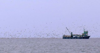 Риболовните кораби ще трябва да разтоварват най-малко 95 на сто от целия улов