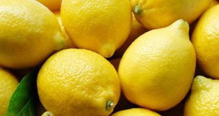 Митничари осуетиха опит за контрабанден внос на 16 600 кг лимони