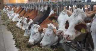 Срокът за разсрочване на кредити на животновъдите изтича
