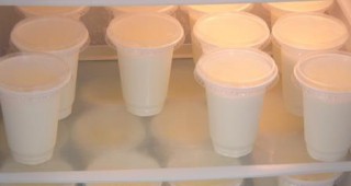 Една кофичка кисело мляко на ден намалява риска от диабет