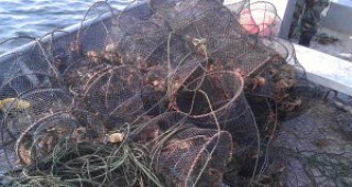 Незаконни риболовни уреди за улов на раци са иззети от инспектори на ИАРА Добрич