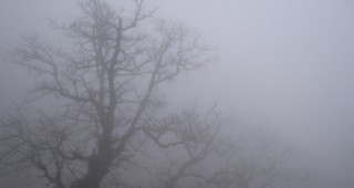 Обявен е жълт код в 12 области на Северна, Източна и Южна България заради мъгли