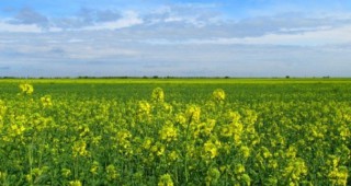 Комисията по земеделие на ЕП отхвърли ревизия на действащия Закон за семената