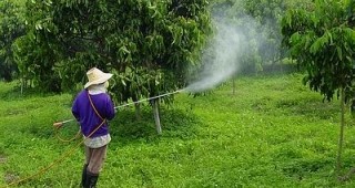 Употребата на пестициди удвоява риска от развитие на аномалия в състоянието на кръвта