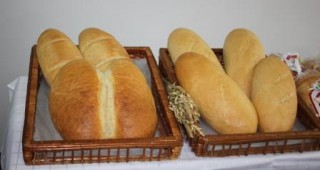 Българският хляб не съдържа генно модифицирано зърно