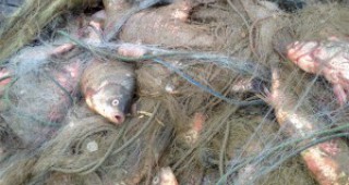 750 метра бракониерски мрежи са иззети при проверки на инспектори на ИАРА по водоеми в страната