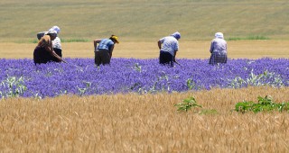 В Северозападна България ще стимулират интеграцията между земеделието и туризма