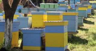 До 5% пада лихвата по кредити за селскостопански инвестиции и пчеларство