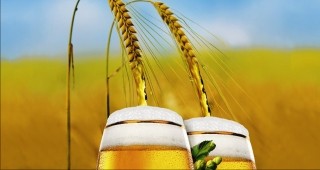 СПБ организира пресконференция за развитието на бирената индустрия