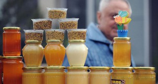 Пчелари: Фалшив мед залива търговската мрежа в цялата страна