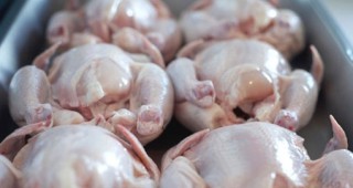Цената на пилешкото месо се е понижила с 8% през януари