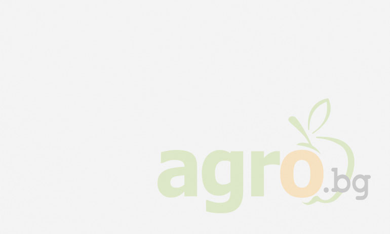 Големият разговор за българската зърнена индустрия на 26 октомври