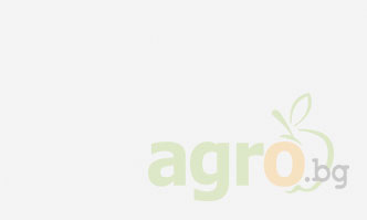 Уебинар на тема Селскостопанската политика на ЕС след 2023 г.