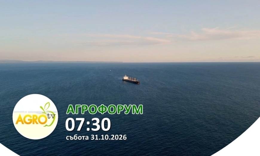 В АГРОФОРУМ: Юбилейното издание на Зърнена академия - защо форумът е важен за зърнопроизводителите, преработвателите и животновъдите?